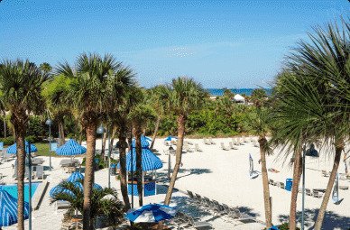 Pool and palm trees at Sheraton Sand Key Resort