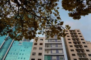 Covered Call On Real Estate Etfs Vs Physical Reit Comparison - editorial photograph
